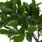 Ficus (kunstplant) - 1