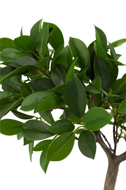 Ficus (kunstplant) - 1