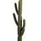 Cactus (kunststof) - 0