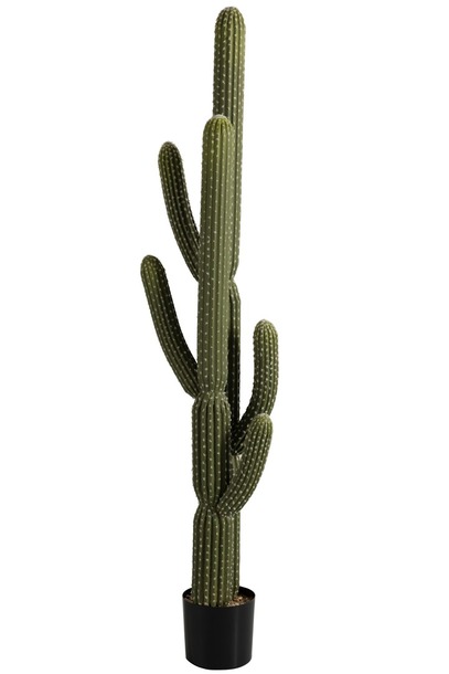 Cactus (kunststof) - 0