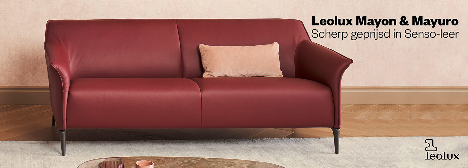 leolux banner olifant 1560x560